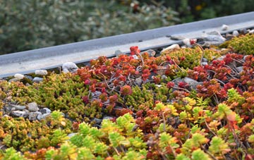 the cost of Grigg green roof installation
