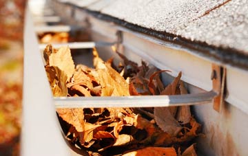 Grigg gutter cleaning companies