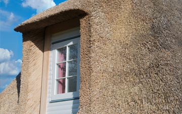 Grigg thatch roof disadvantages