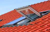 Grigg roof window